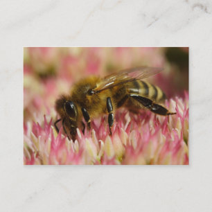 Western Honey Bee Macro Business Card