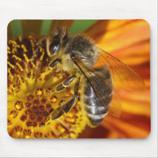 Western Honey Bee Macro Mouse Pad