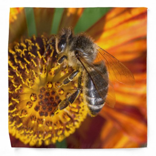 Western Honey Bee Macro Photo Bandana