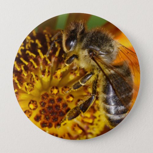 Western Honey Bee Macro Photo Button