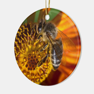 Western Honey Bee Macro Photo Ceramic Ornament