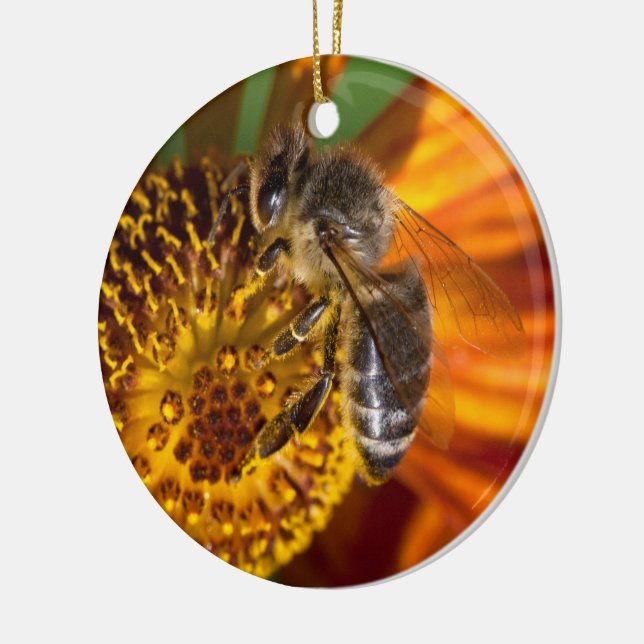 Western Honey Bee Macro Photo Ceramic Ornament (Left)