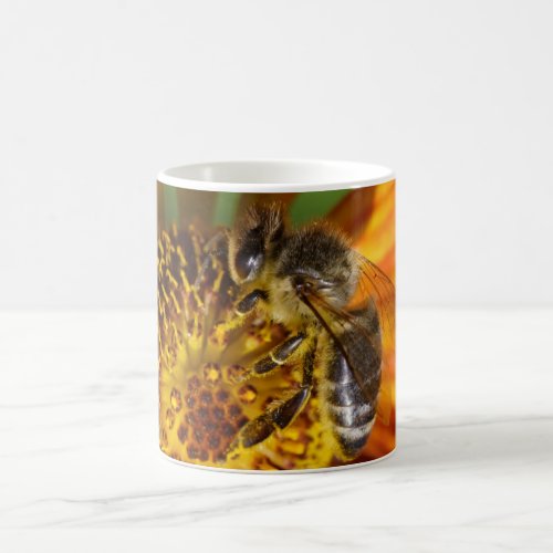 Western Honey Bee Macro Photo Coffee Mug