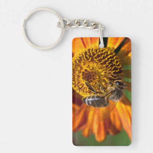 Western Honey Bee Macro Photo Keychain