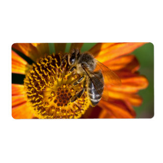 Western Honey Bee Macro Photo Label