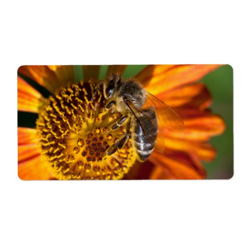 Western Honey Bee Macro Photo Label