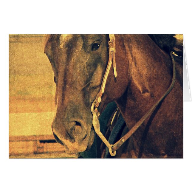 Western Horse Cards (Front Horizontal)