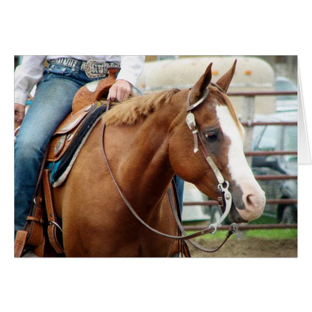 Western Horse Cards (Front Horizontal)