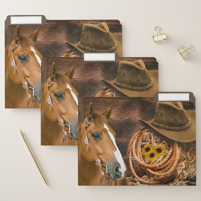 Western Horse Cowboy Hat Lasso Sunflowers  File Folder (Set)