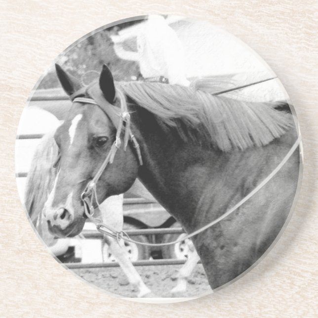 Western Horse in Black and White Sandstone Coaster (Front)
