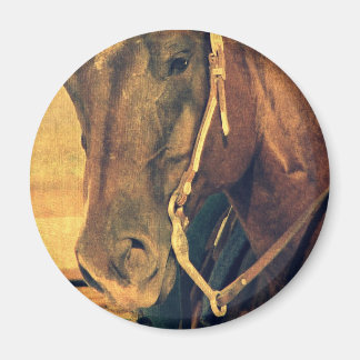 Western Horse Magnet