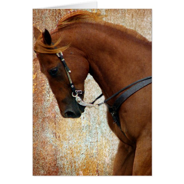 Western Horse Sorrel Grunge Cards (Front)