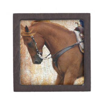 Western Horse Sorrel Grunge Jewelry Box by HorseCrazyIowa at Zazzle