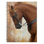 Western Horse Sorrel Grunge Notebook at Zazzle