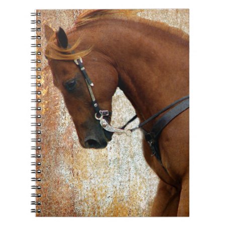Western Horse Sorrel Grunge Notebook