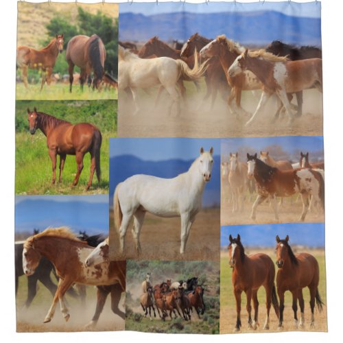 Western Horses Photography Collage Shower Curtain