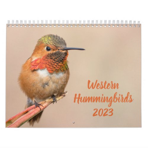 Western Hummingbirds Photography 2023 Calendar