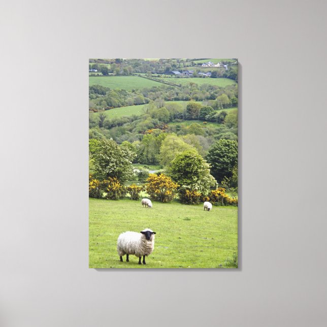 Western Ireland, Dingle Peninsula, broad Canvas Print (Front)