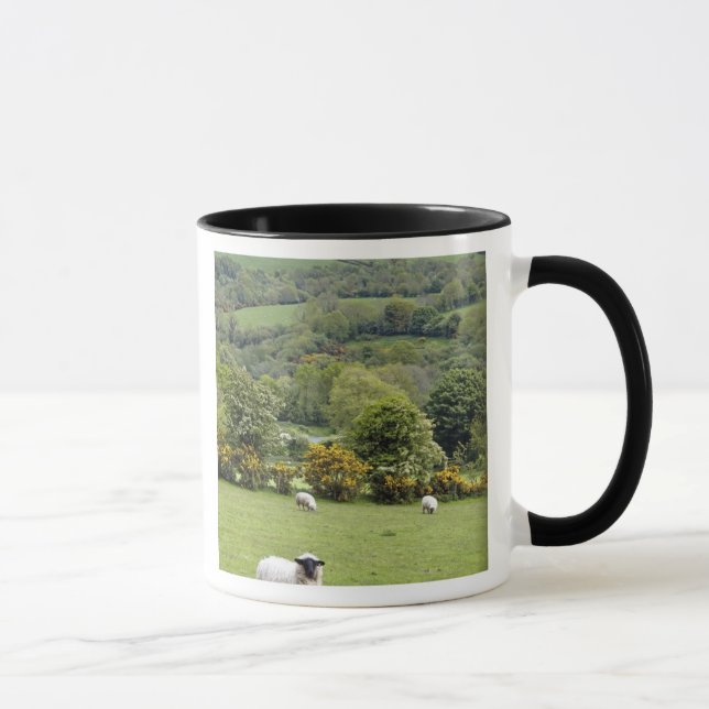 Western Ireland, Dingle Peninsula, broad Mug (Right)
