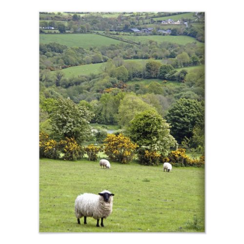 Western Ireland Dingle Peninsula broad Photo Print