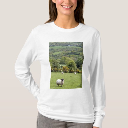 Western Ireland Dingle Peninsula broad T_Shirt