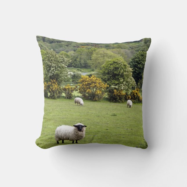 Western Ireland, Dingle Peninsula Throw Pillow (Front)