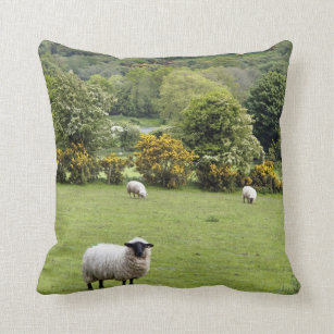 irish throw pillows