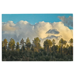 WESTERN LANDSCAPE Metal Art