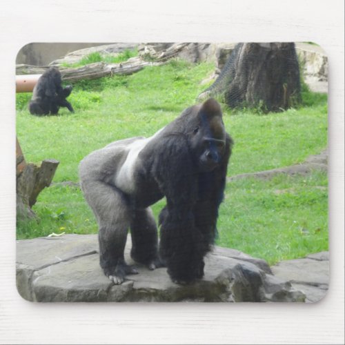 Western Lowland Gorilla 1 Mouse Pad