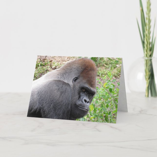 Western Lowland Gorilla Greeting Card (Front)