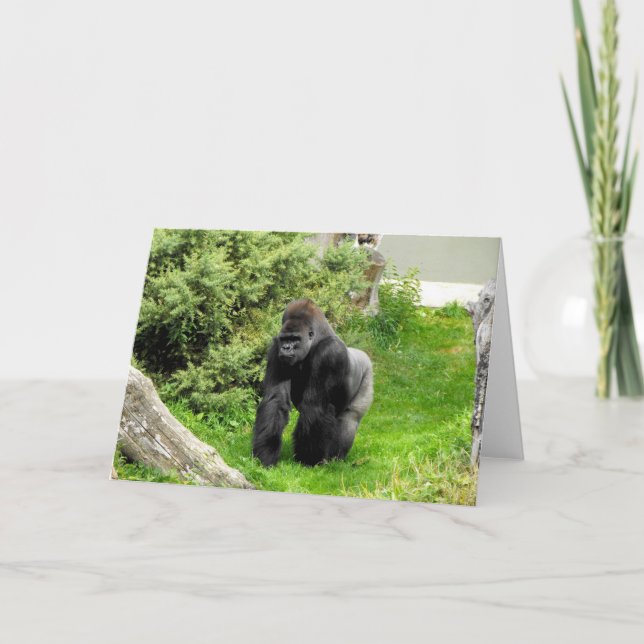 Western Lowland silverback male gorilla Holiday Card (Front)