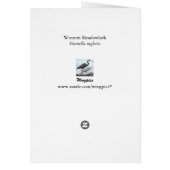 Western Meadowlark (Back)