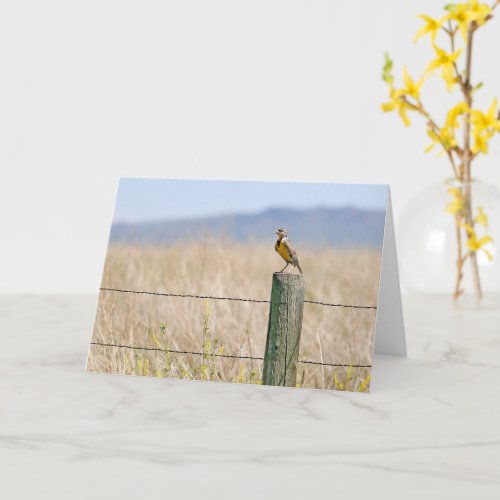 Western Meadowlark All Occasion Greeting Card