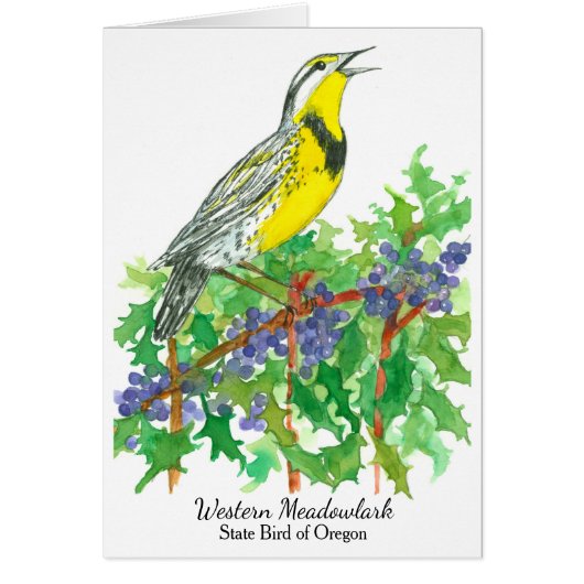 Western Meadowlark Bird Oregon Grape Cards (Front)