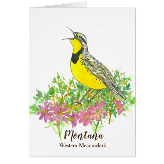 Western Meadowlark Bitterroot Montana Hello Cards (Front)