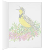 Western Meadowlark Bitterroot Montana Hello Cards (Inside (Right))