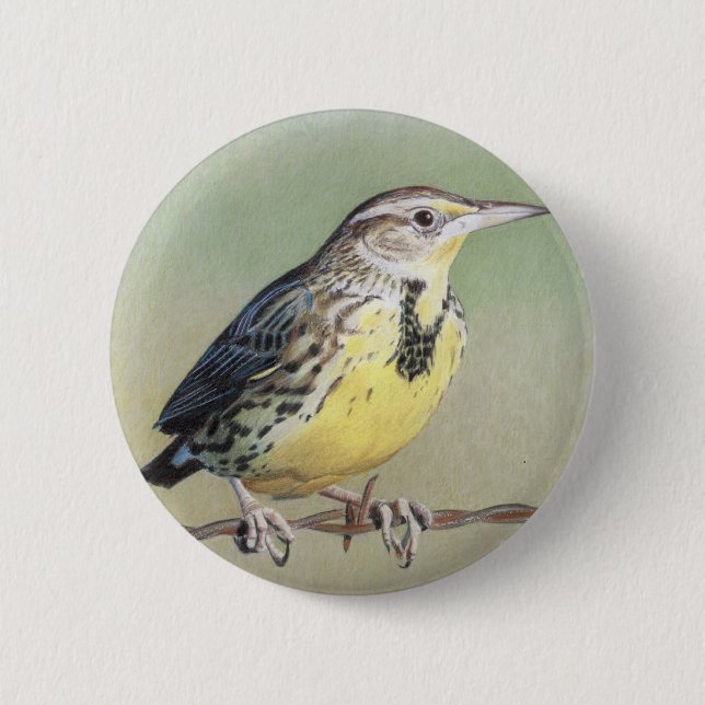 Western Meadowlark Button (Front)