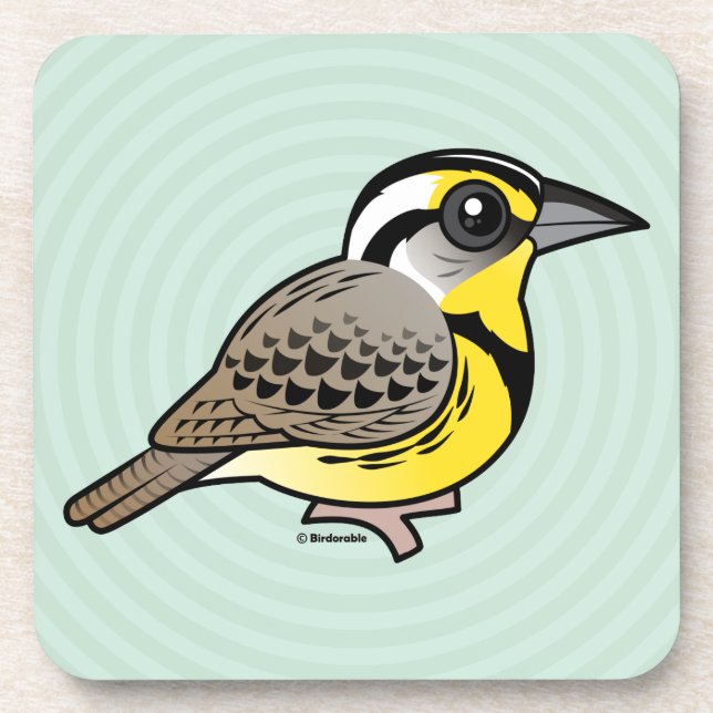 Western Meadowlark Drink Coaster (Front)