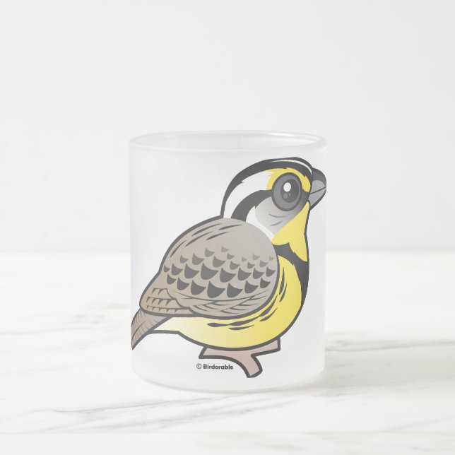 Western Meadowlark Frosted Glass Coffee Mug (Center)