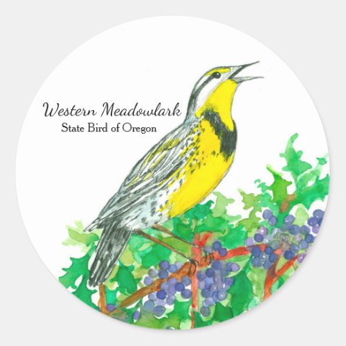 Western Meadowlark Oregon Grape Watercolor Classic Round Sticker