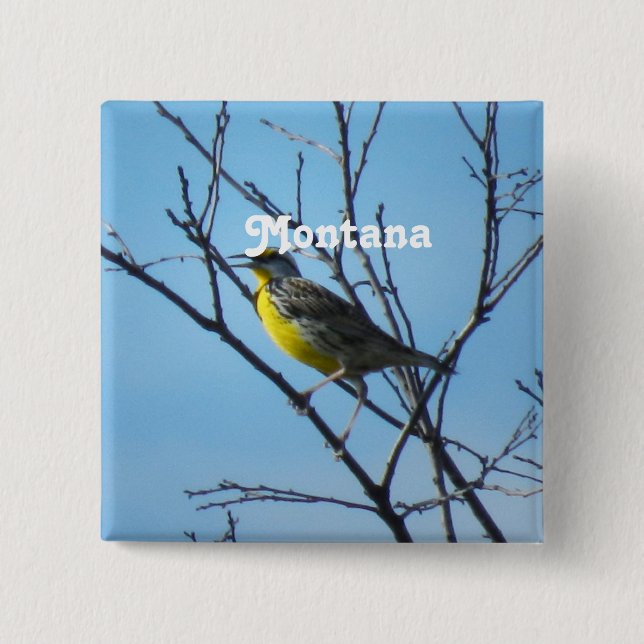 Western Meadowlark Pinback Button (Front)