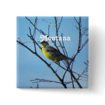 Western Meadowlark Pinback Button