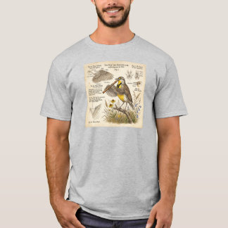 Western Meadowlark Playing Flute – Funny Bird T-Shirt