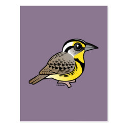 Western Meadowlark Postcard