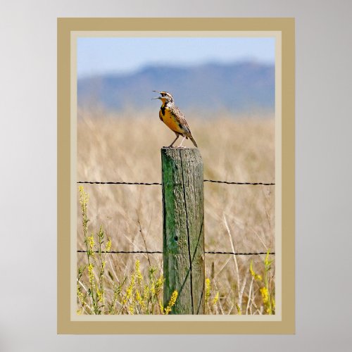 Western Meadowlark Poster