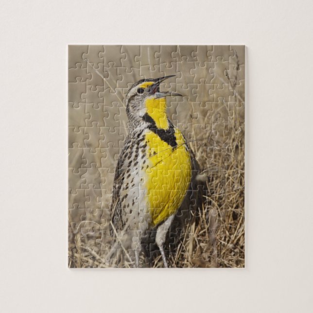 Western Meadowlark (Strunella neglecta) Jigsaw Puzzle (Vertical)
