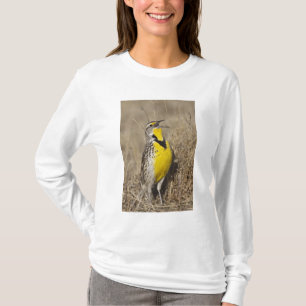 Western Meadowlark (Strunella neglecta) T-Shirt