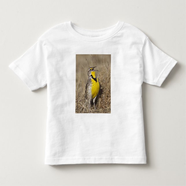 Western Meadowlark (Strunella neglecta) Toddler T-shirt (Front)