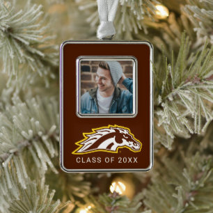 Western Michigan University Broncos Christmas Ornament