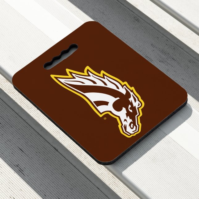 Western Michigan University | Broncos Seat Cushion (In Situ)
